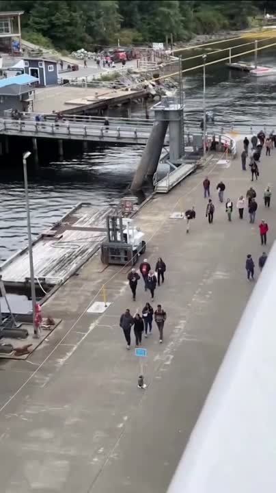 ����� ���������� ����� �� �������: