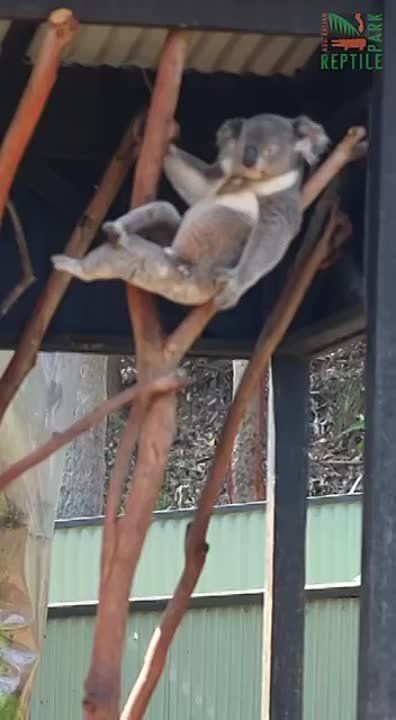 ����� � ����������� ������ �� �������������� �������� �� ������ ��� ��� ������� ����� 5 ��������� ����������