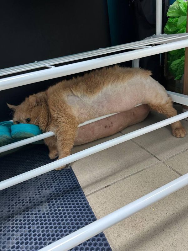 ���� ���������� ������. � ������ ��� �� ������ ������ ������� ������� �� ����������, ��� ��� ������� �� �����, �� ������� � ������� �����