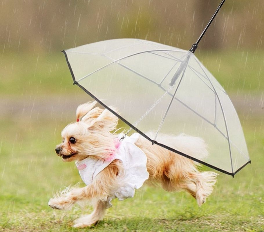 ������� ������ �� 16 - 22 ��������