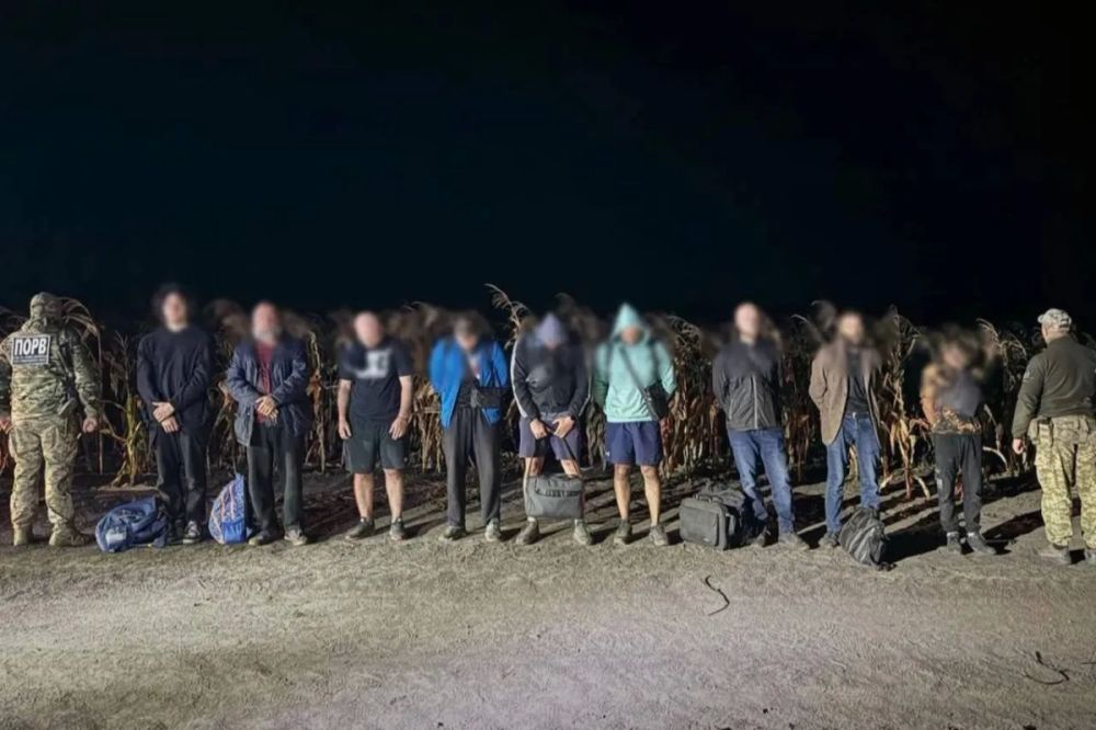 16-������ ��������� ������� �������� ��������� ���������� � ������� � ��������