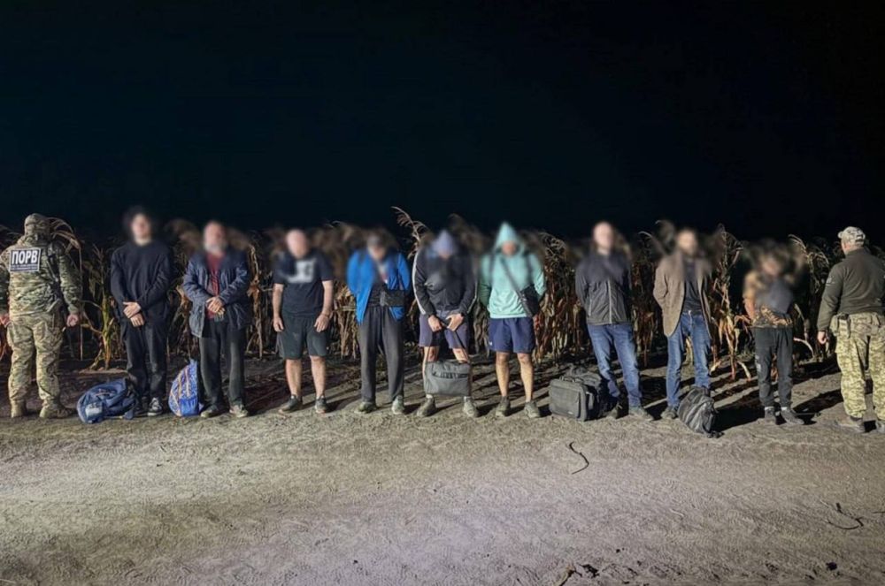 16-������ ��������� ������� ����������� � ������� 8 ����������