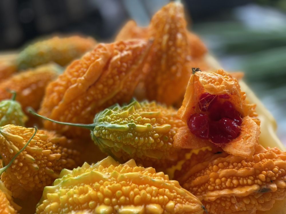 �� ������� ����� ��������� ���������