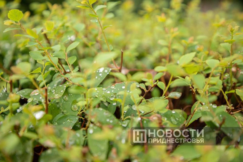 �� ��������� ������ ��������� ������� �� +20-25�� ����