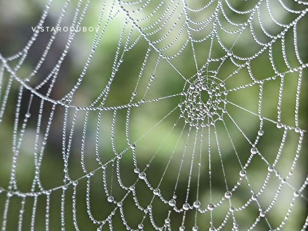 ����� ������� ������ ����������� ��� �������������