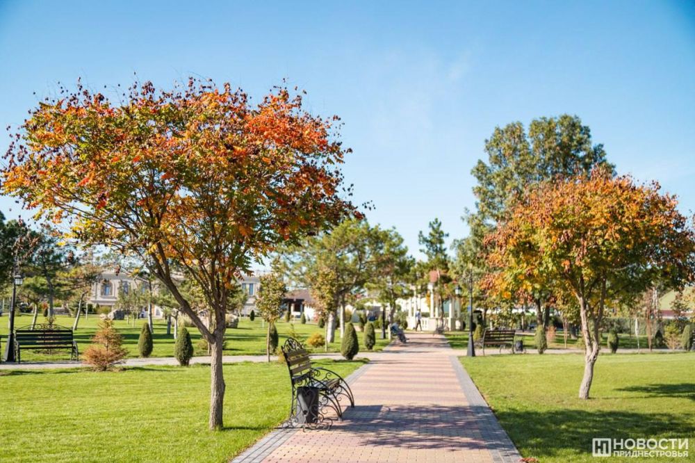 ��������, ��� � ������, ����� ��� ������������� �������