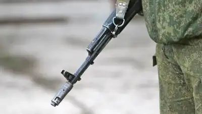 �������� �� ����� ������ ������������ ����� ���� ��������� ��������, �������� PulsMedia