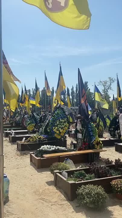 ������� ������� "���������" � �������