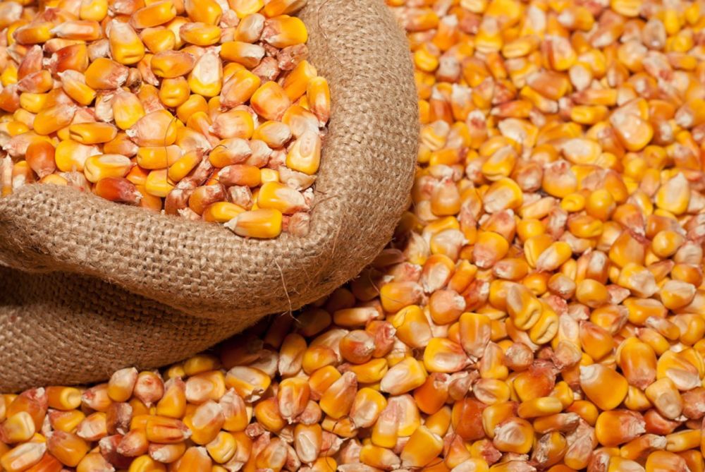 � ���������� ������������ ������ ������������� � �������� �� �����