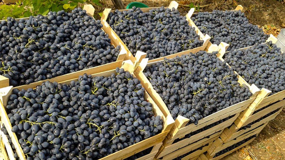 ��� ���������� � �������� ����� � ������ ���������