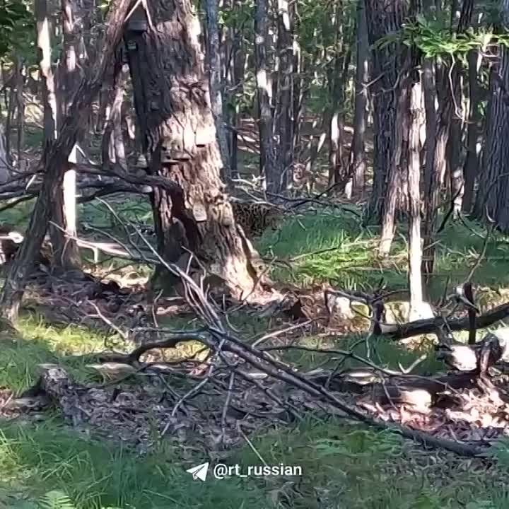 ���������� ������� ����� �� ������ ��������� � ��������