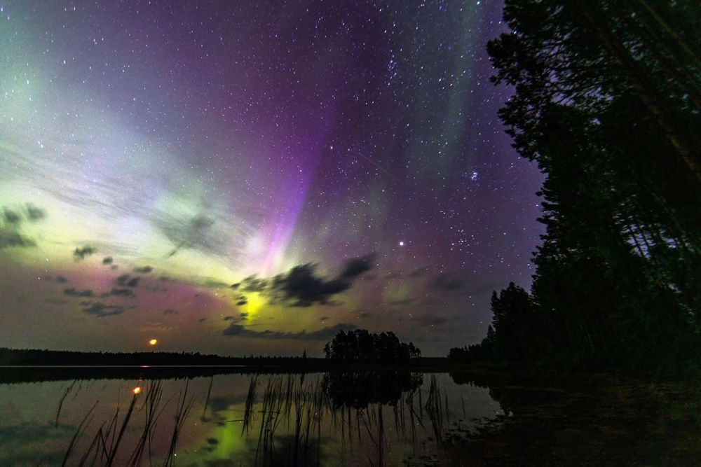 ������ ������ ����� ��������� �������� ������