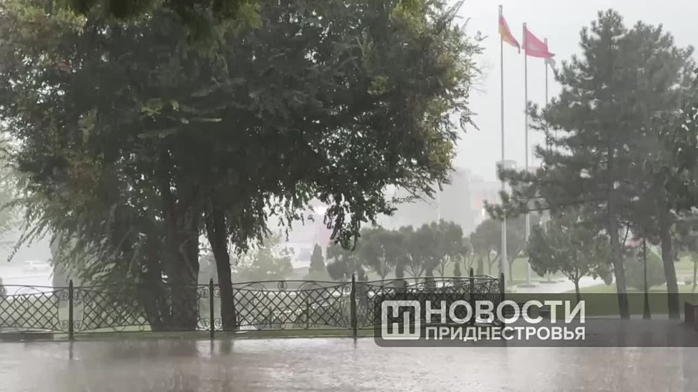 ������ � ������ �������� �� ���������