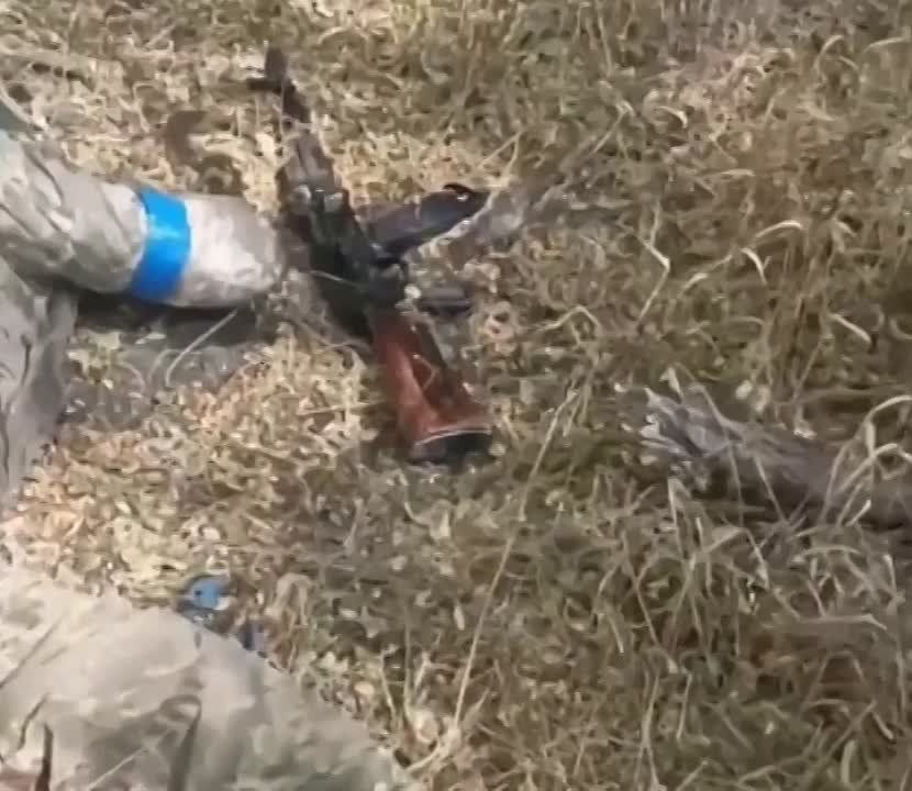 ������� 155 ������� ����������� "�����" ���������� ������ ��� �� 22 ���� � ������� �����������