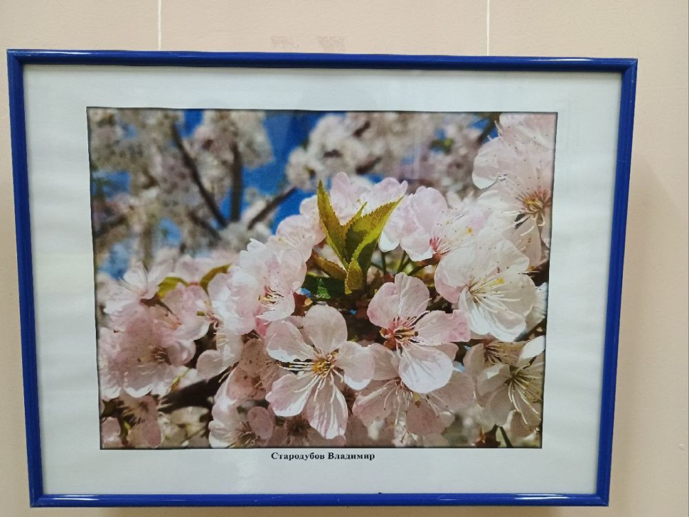 � ���������� ��������� ������������ ������ ����-�����