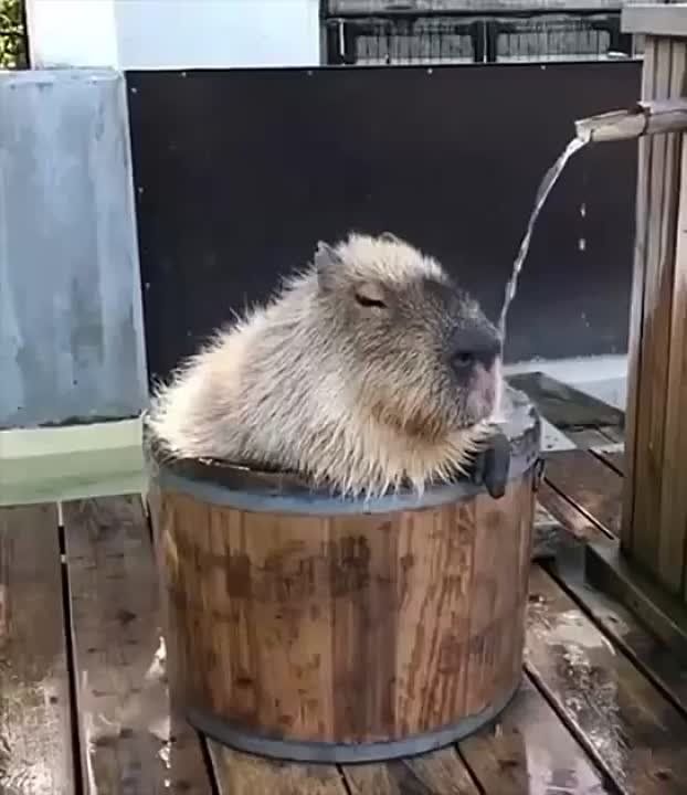 ���������� ����� ����� ������� ������