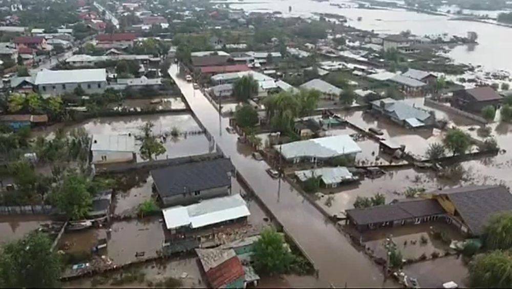 ������ �������� ������� � ������� � ���������� �������� �������, ��������� �������� "�����"