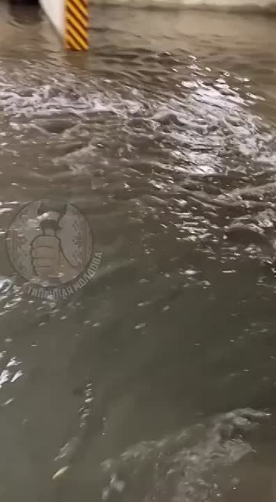 � �������� ��������� �������� ����� ���������