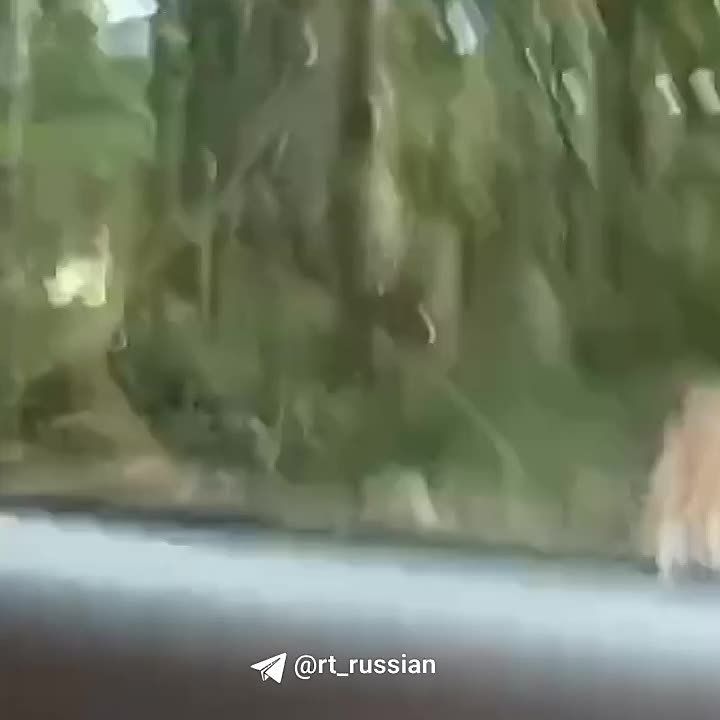 ��� ������, ����� � ���� ����! �� ������, ����� � ���� ����!�