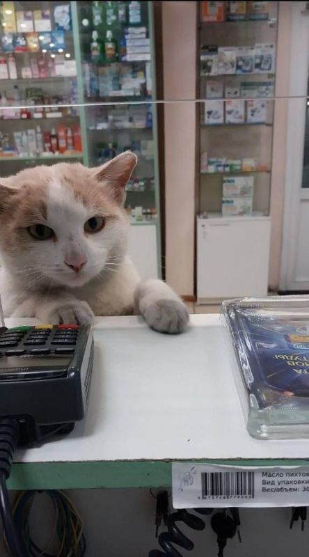 ���������� ����� �������� ����� ����� �������, ����������� ������������ ����� �� ����� ������� ������