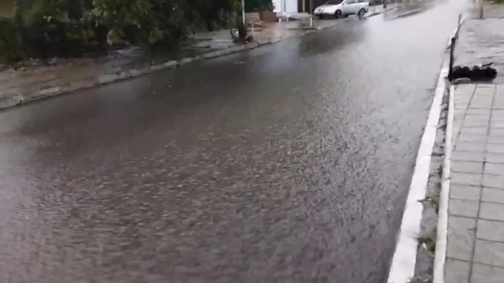 ������ � ����������� � ���������