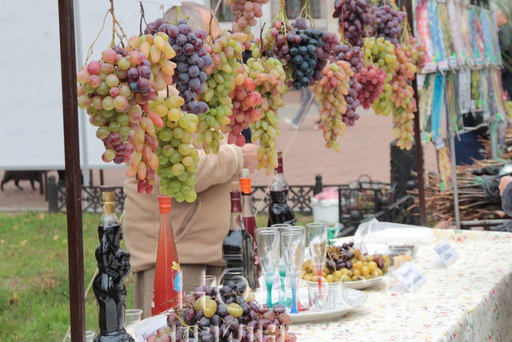 5 ������� � ��������� �������� ��������-������� �������� ���������������!� � ��������� ���� � ���������