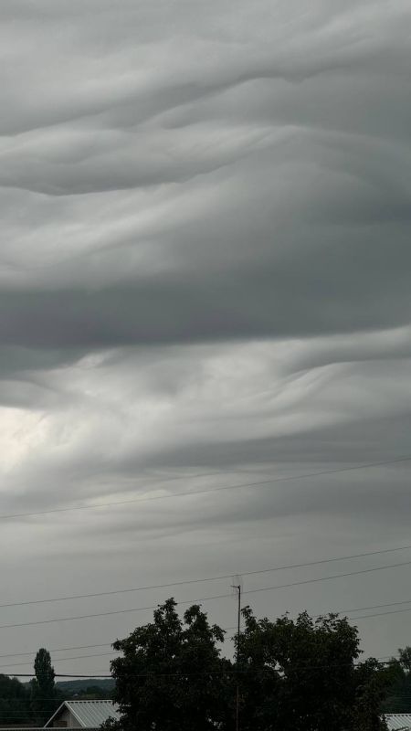 ����� �������� ���� ��� ���������� �������