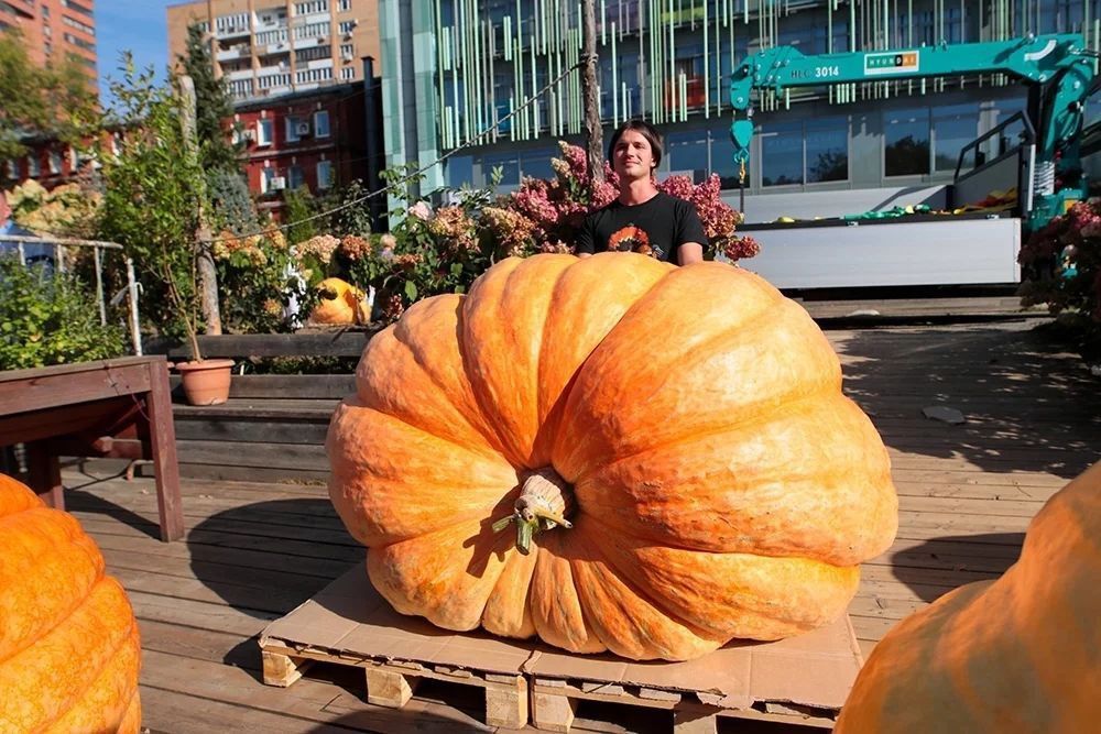 �� ������ ��� �������: �28-������ ������� ��������� ����� �������� ����� ������� ����� � ������� ������ ����� � 817 ��. ���...