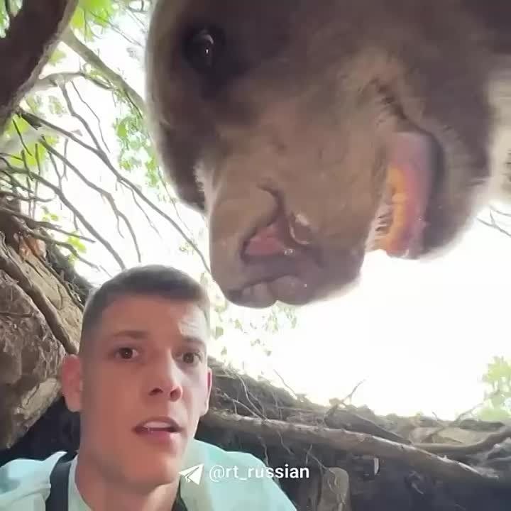 ��������� ����� � ��������� �������