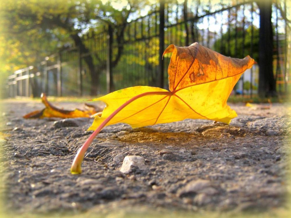 ��������� ��������� ����� �������� ����� ������� ����!�