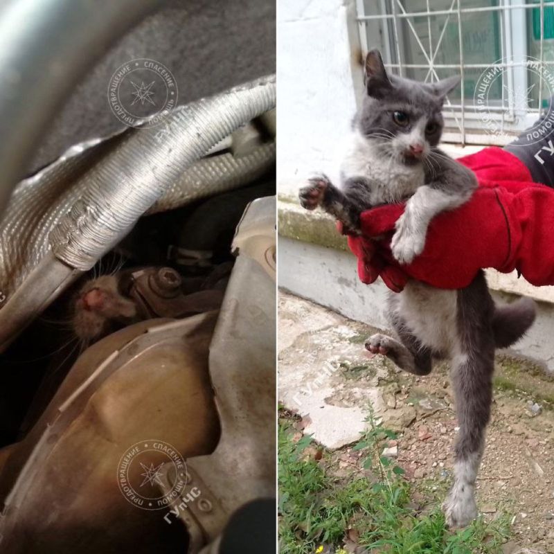 ����� �������� ��� ������� ������������ � ��������