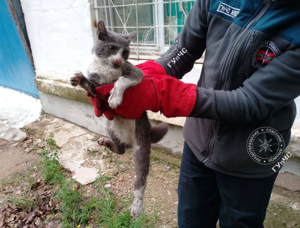 � �������� ������ �����, ���������� � �������� ������ ����