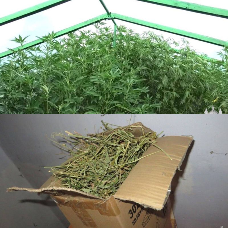 � ���������� ������� ������ ��������� � ������� ��������� � ������� 26 ������ �������