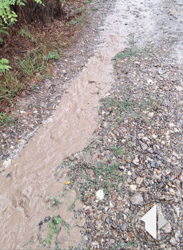 ���������� ����� ��������� ����������� ������ � ����������