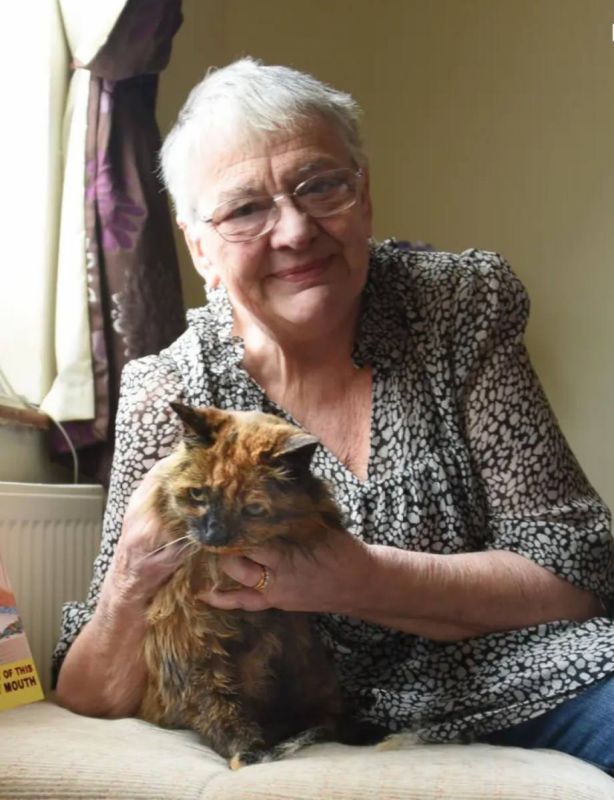 ������ ����� ������ ����� � ����