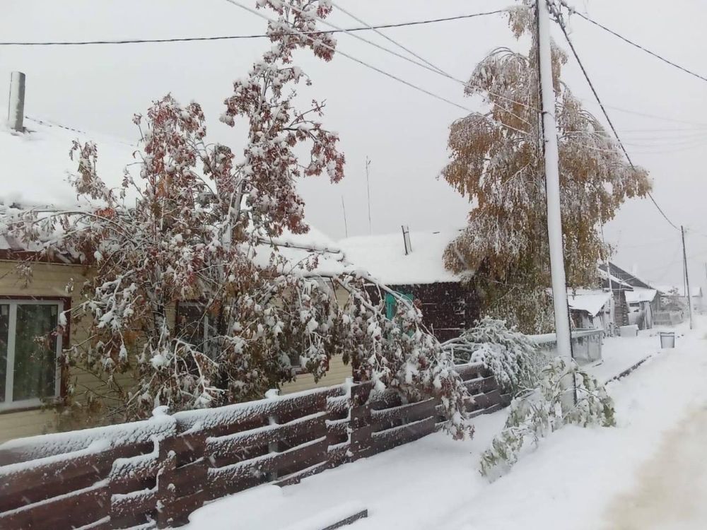 �� ��� ������������� ���� ����� ������ ����