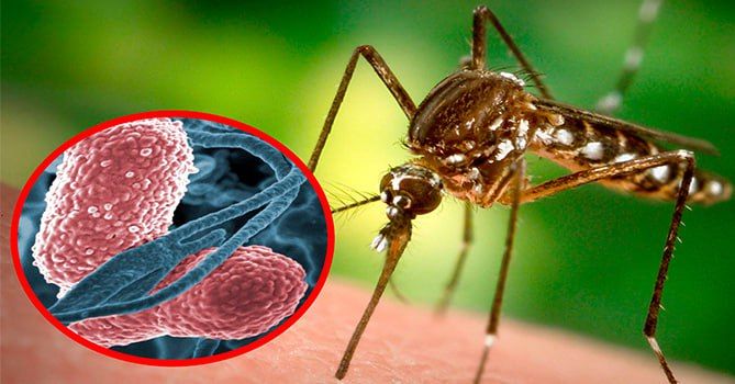 �������������� ��������� ���������� ��������� ����