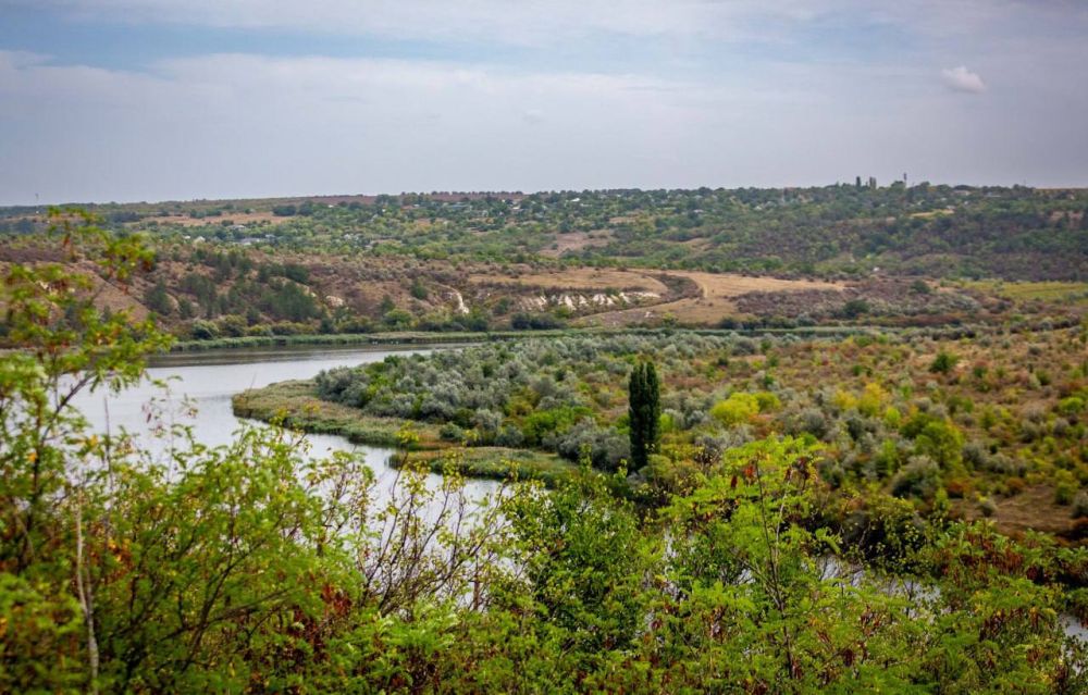 ������������ ������ ������ � ��������