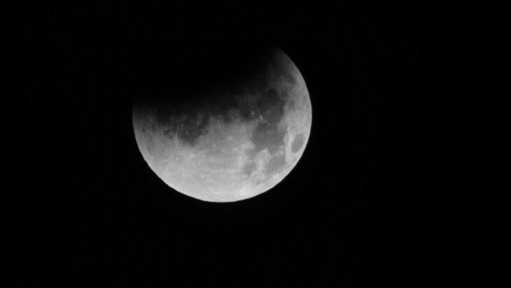 ������������ �� ��������? ����� ��� ������� ����� ��� ���: � ����� ��� ���� ����� ��� ��������������� �������: ����������