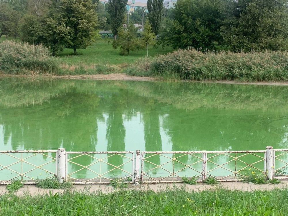 ���������� ����� � �������� ����������?