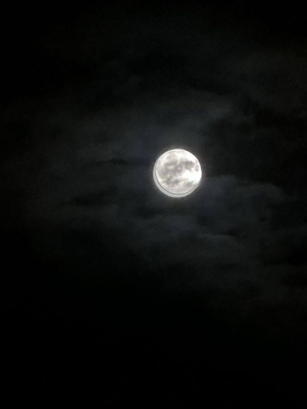 ��� ��������� ����� �������������� ��������� ������� - ����������