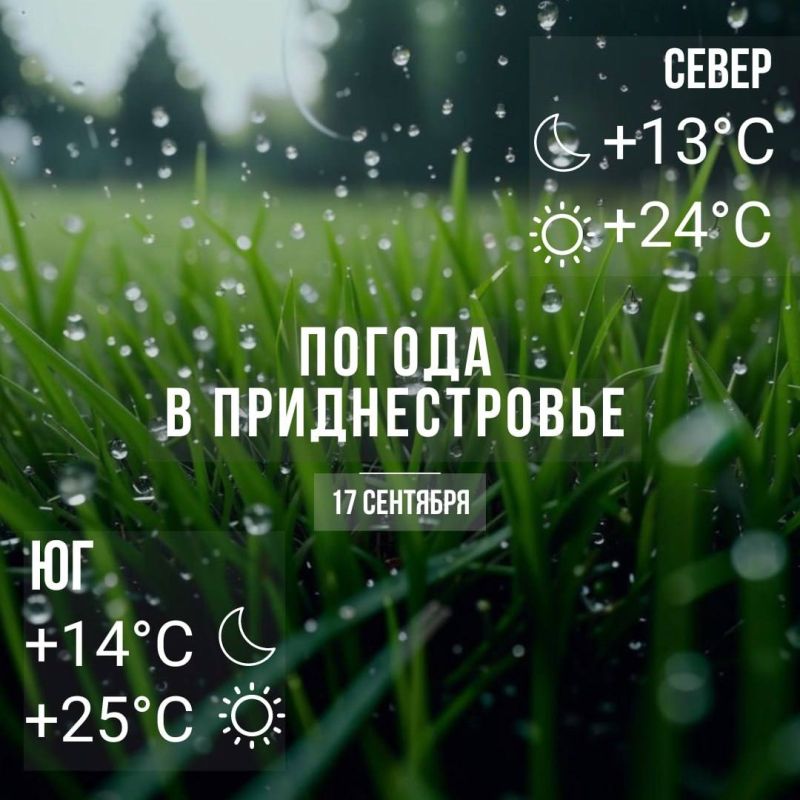 ���� � �� +25��. ������� �����