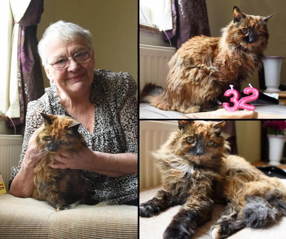 � �������������� � 33 ���� ������ ��������� ����� � ����, ����, ��� ������� �������������� 152 ������������ �����