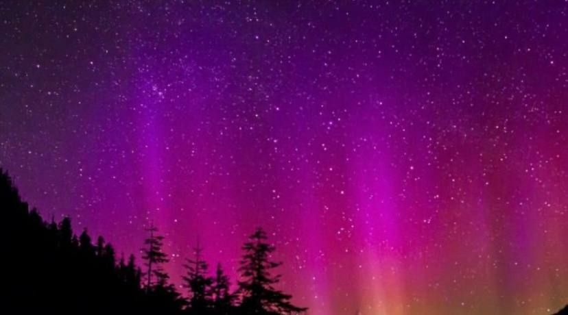 �������� ���������. ������ ����� ����� ������� �������� ������ � �������, ������� ������ ��� � 40 ���