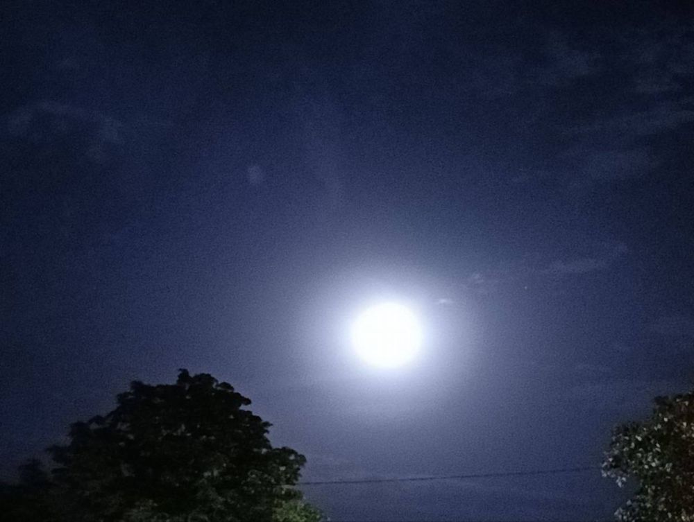 ���������� ���� ����. ���� � ������� ����