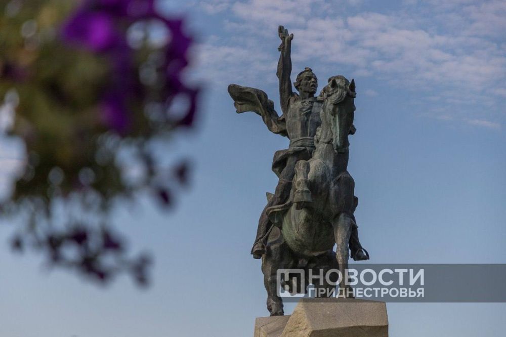 ���������� ��������, ����������� 295-������� ������ ��������, �������� ������ ����������� � ���� �������� �������������� ��� ��������� �����������������