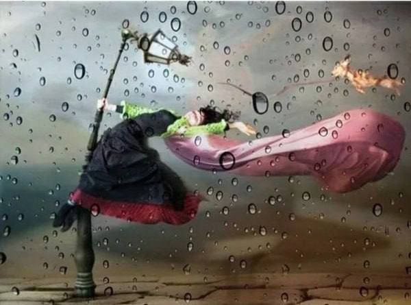 �������� ������� ���������: