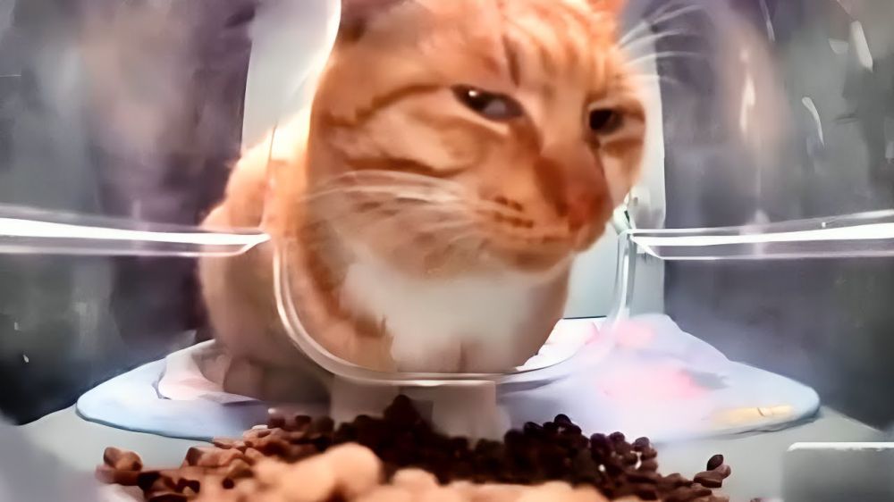 ������� ���������� ���� ����� ����� ������ ����