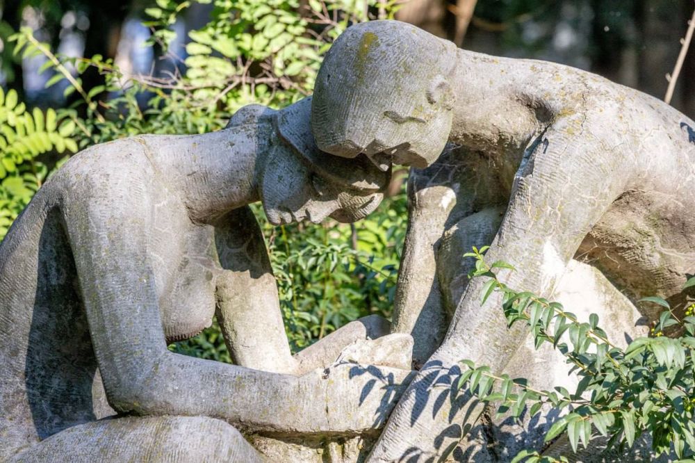 ���������� ���� ������ ������� ������������������ ����� ������ ������� �������