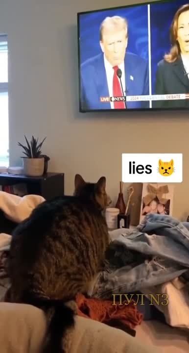 Breaking news: �� ������ ��������� ��� ���� ���������